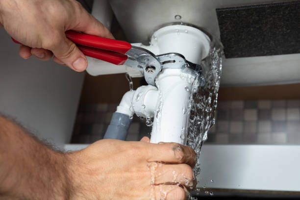 Best Carpet water damage restoration  in Trevorton, PA