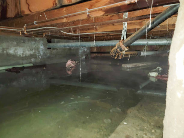 Trevorton, PA Water damage restoration Company