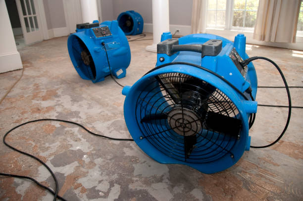 Best 24/7 water damage repair  in Trevorton, PA