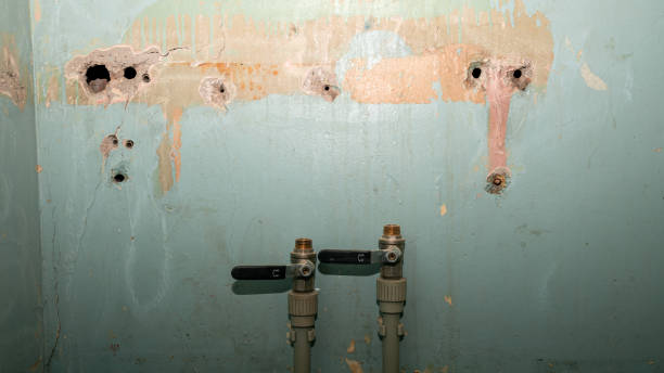 Best Water damage restoration services  in Trevorton, PA