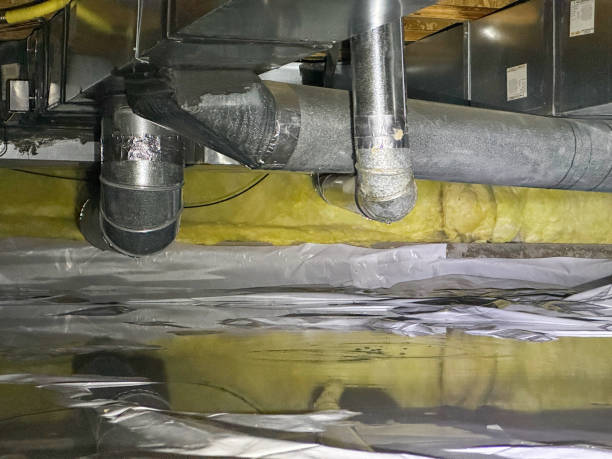 Best Water damage restoration mold remediation  in Trevorton, PA