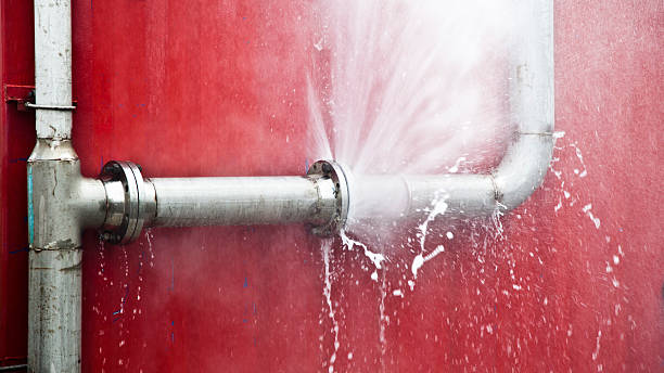 Best Water damage cleanup near me  in Trevorton, PA